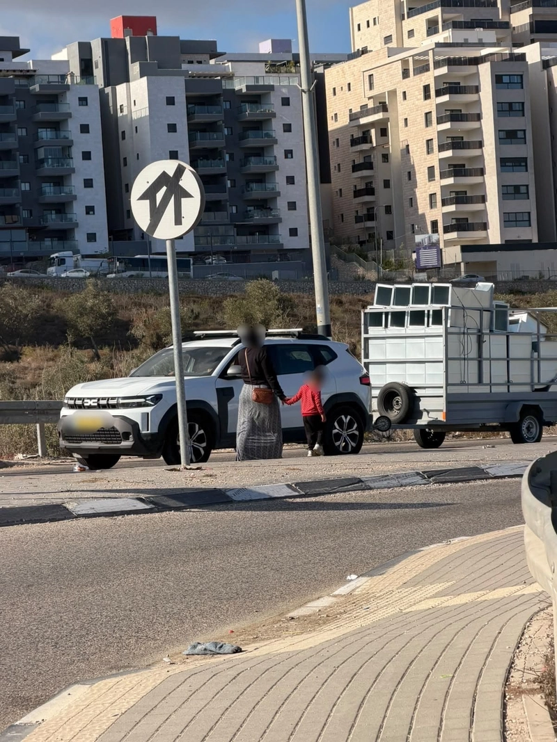 صورة الخبر