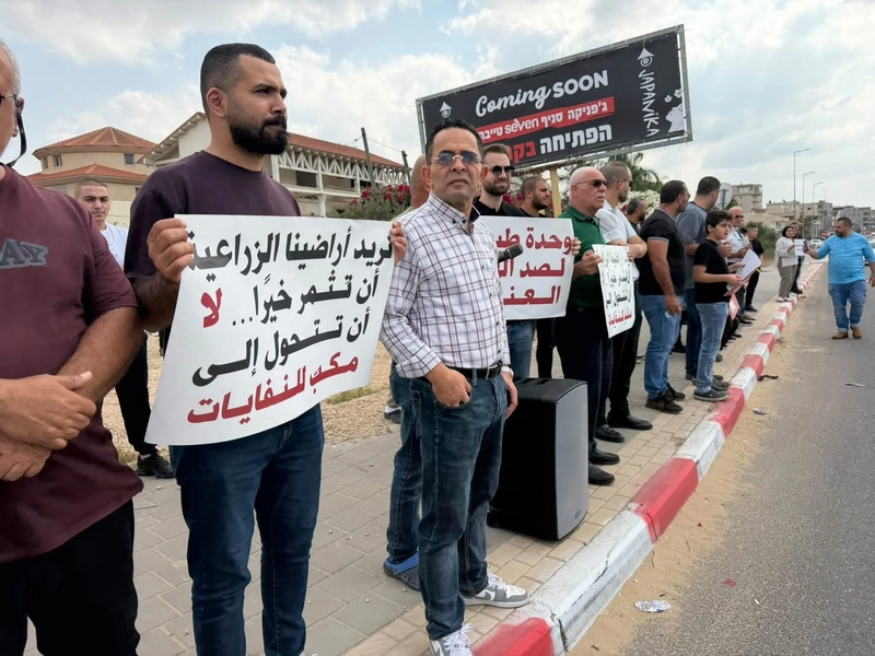 صورة الخبر